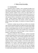 Referāts 'Korupcija un tiešās ārvalstu investīcijas pasaulē un Baltijas valstīs', 21.