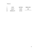 Prakses atskaite 'Integrēta prakse sākumskolā', 34.