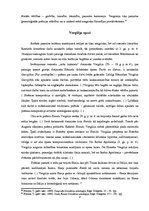 Referāts 'Eposa attīstības gaita antīkajā literatūrā', 7.