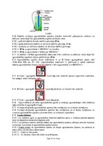 Referāts 'Ugunsdrošības instrukcija', 10.