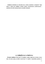 Referāts 'Smēķēšanas problēmas aktualitāte Rēzeknes 1.vidusskolas pusaudžu vidū', 11.