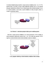 Referāts 'Smēķēšanas problēmas aktualitāte Rēzeknes 1.vidusskolas pusaudžu vidū', 17.