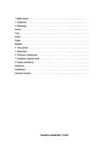 Referāts 'Tūrisma uzņēmējdarbības plānošana', 4.