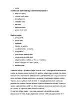 Referāts 'Tūrisma uzņēmējdarbības plānošana', 6.