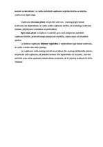 Referāts 'Tūrisma uzņēmējdarbības plānošana', 14.