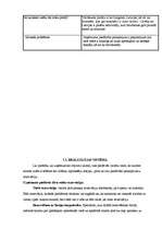 Referāts 'Tūrisma uzņēmējdarbības plānošana', 27.