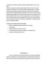 Referāts 'Tūrisma uzņēmējdarbības plānošana', 33.