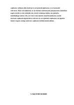 Referāts 'Tūrisma uzņēmējdarbības plānošana', 45.