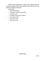 Referāts 'Tūrisma uzņēmējdarbības plānošana', 46.