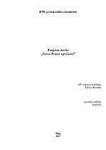 Referāts 'Savas firmas apraksts', 1.