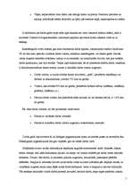 Referāts 'Savas firmas apraksts', 5.