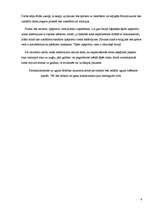 Referāts 'Savas firmas apraksts', 6.