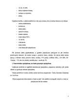 Referāts 'Savas firmas apraksts', 8.