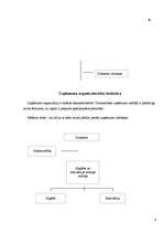 Referāts 'Savas firmas apraksts', 9.