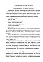 Referāts 'Loģistikas loma uzņēmumā', 4.