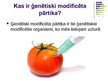 Prezentācija 'Ģenētiski modificēti organismi, pārtika un to nozīme', 3.