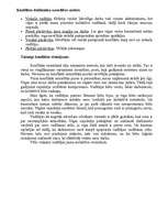 Eseja 'Konflikta analīze un tā risināšana', 2.