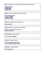 Konspekts 'Tēlainās izteiksmes līdzekļi un stila figūras', 3.