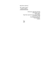 Referāts 'Uzņēmuma pētījums', 1.