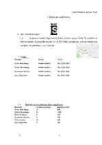 Referāts 'Uzņēmuma pētījums', 3.