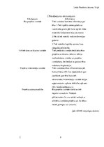 Referāts 'Uzņēmuma pētījums', 5.