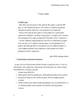 Referāts 'Uzņēmuma pētījums', 9.