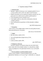 Referāts 'Uzņēmuma pētījums', 11.