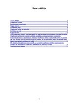 Biznesa plāns 'Interjera salons "Mango"', 2.