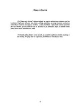 Biznesa plāns 'Interjera salons "Mango"', 10.