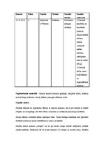 Prakses atskaite 'Aktīvā audzināšanas prakse', 7.