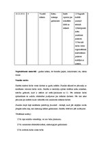 Prakses atskaite 'Aktīvā audzināšanas prakse', 9.