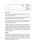 Prakses atskaite 'Aktīvā audzināšanas prakse', 13.