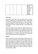 Prakses atskaite 'Aktīvā audzināšanas prakse', 17.