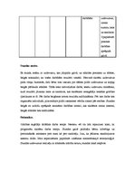 Prakses atskaite 'Aktīvā audzināšanas prakse', 21.