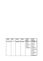 Prakses atskaite 'Aktīvā audzināšanas prakse', 22.