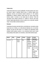 Prakses atskaite 'Aktīvā audzināšanas prakse', 23.