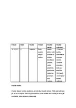 Prakses atskaite 'Aktīvā audzināšanas prakse', 28.