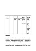 Prakses atskaite 'Aktīvā audzināšanas prakse', 30.