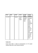 Prakses atskaite 'Aktīvā audzināšanas prakse', 32.