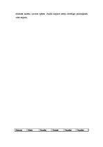 Prakses atskaite 'Aktīvā audzināšanas prakse', 40.