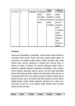 Prakses atskaite 'Aktīvā audzināšanas prakse', 41.