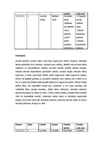 Prakses atskaite 'Aktīvā audzināšanas prakse', 42.