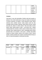 Prakses atskaite 'Aktīvā audzināšanas prakse', 45.