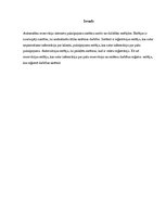 Paraugs 'Saskarņu prasību specifikācija automašīnu rezervācijai interneta pakalpojuma sis', 3.