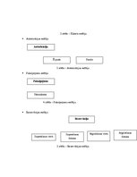 Paraugs 'Saskarņu prasību specifikācija automašīnu rezervācijai interneta pakalpojuma sis', 6.