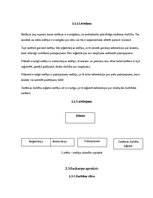 Paraugs 'Saskarņu prasību specifikācija automašīnu rezervācijai interneta pakalpojuma sis', 8.