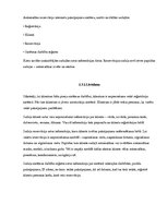 Paraugs 'Saskarņu prasību specifikācija automašīnu rezervācijai interneta pakalpojuma sis', 9.