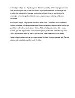 Paraugs 'Saskarņu prasību specifikācija automašīnu rezervācijai interneta pakalpojuma sis', 13.