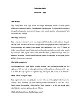 Konspekts 'Dabas zona - taiga', 1.