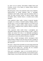 Konspekts 'Vīriešu reproduktīvās sistēmas anatomija: struktūra, funkcijas un dzimumu īpatnī', 2.